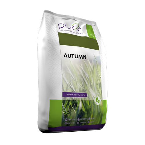 Pure Autumn