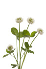 shutterstock_140150449-nahled11.jpg