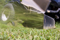 mulching S